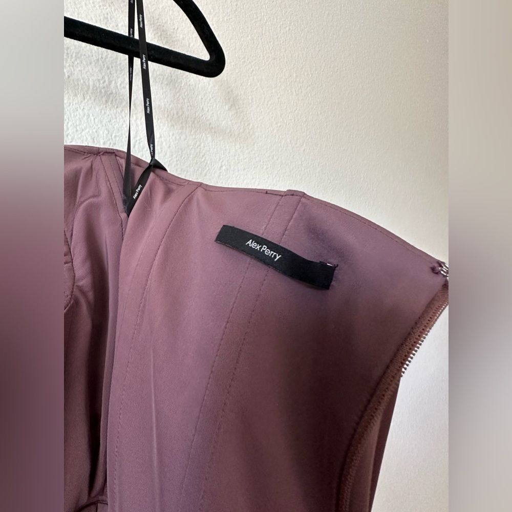 Alex Perry Koda Crystal Brown Dusty Rose  Mini Dress - Picture 11 of 11